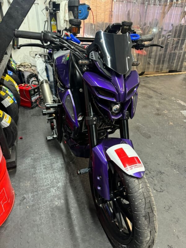 MT 125 Crash Guard